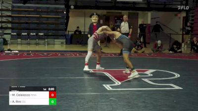 133 lbs Semifinal - Michael Colaiocco, Pennsylvania vs Angelo Rini, Columbia