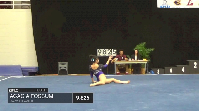 Franchesca Hutton Floor Uw Whitewater 2018 Ncga Championships