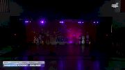 DanzForce Academy - Darlings [2025 Mini - Premier - Jazz - Small Day 1] 2025 NDA Houston Regional