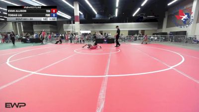84 lbs Consolation - Evan Allison, Texans Wrestling Club vs Tobias Liu, Powerhouse Wrestling