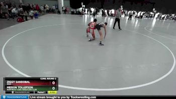 106 lbs Cons. Round 2 - Ziggy Sandobal, Ohio vs Meison Tollefson, Northeast Iowa Wrestling Club