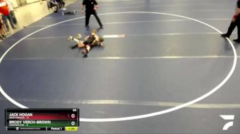 60 lbs Finals (2 Team) - Brody Verch-Brown, Farmington vs Jack Hogan, New Prague