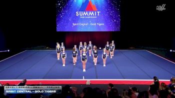 Spirit Central - Gold Tigers [2026 L1 Senior - Small Prelims] 2026 The Summit