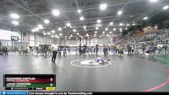 74 lbs 3rd Place Match - Alexander Sheffler, Team Real Life Wrestling vs Logan Crawford, Deer Park Ironman WC