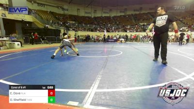 119 lbs Consi Of 8 #1 - Carson Dove, Plainview Youth Wrestling Club vs Drake Sheffield, Threestyle