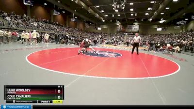 Semifinal - Luke Woolsey, Morgan vs Cole Cavalieri, Canyon View