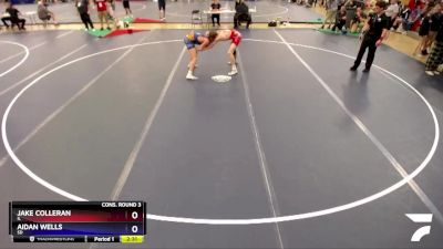 138 lbs Cons. Round 3 - Jake Colleran, IL vs Aidan Wells, SD