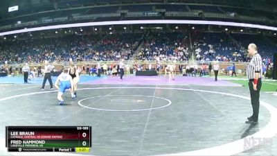 D3-165 lbs Semifinal - Lee Braun, Catholic Central HS (Grand Rapids) vs Fred Hammond, LakeVille Memorial HS