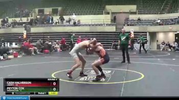 126 lbs Round 3 (4 Team) - Peyton Cox, Washington vs Cash Halverson, Liberty