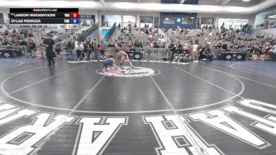 113 lbs Cons. Rd Of 32 - Landon Wakabayashi, Vacaville Wrestling Club vs Dylan Pedroza, Titan Mercury