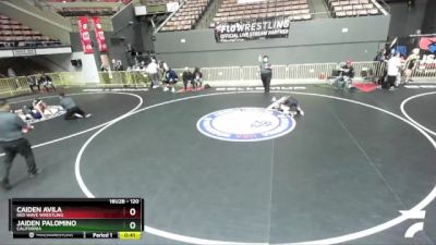 120 lbs Cons. Round 4 - Jaiden Palomino, California vs Caiden Avila, Red Wave Wrestling