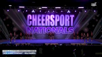 ACE Cheer Company - Wild Bunch [2026 L2 Junior - Small - C Day 2] 2026 CHEERSPORT National All Star Cheerleading Championship
