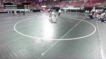D2-132 lbs Quarterfinal - Kaleb Wiseman, Adams-Friendship vs Westin Ingham, Amery