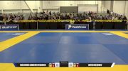 Guilherme Jambeiro vs Artur Bichenov 2025 World IBJJF Jiu-Jitsu No-Gi Championship