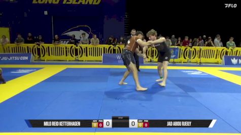Jad Abou Rjeily vs Milo Reid Ketterhagen 2025 Pan IBJJF Jiu-Jitsu No-Gi Championship