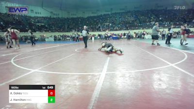 160 lbs Consi Of 64 #2 - Adin Gokey, Tecumseh vs Jaxon Hamilton, Midwest City Bombers