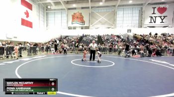 45 lbs Cons. Round 2 - Fionn Hanrahan, SV Saber Den Wrestling Club vs Waylon McCarthy, Mexico Wrestling