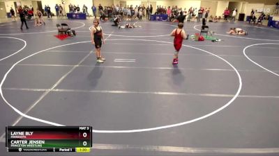 160 lbs Cons. Round 2 - Carter Jensen, Princeton Wrestling vs Layne Bly, Minnesota