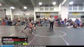 84 lbs Finals (2 Team) - Leland Cline, Virginia Patriots vs Royce Wetzler, Virginia Predator