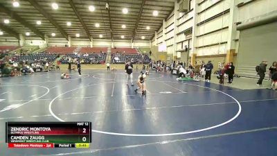 51 lbs Quarterfinal - Camden Zaugg, Viewmont Wrestling Club vs Zendric Montoya, Olympus Wrestling