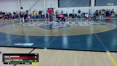 133 lbs Cons. Round 4 - Thomas Conselyea, Lycoming vs Cole Anderson, King`s (PA)