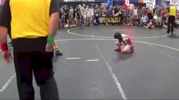 49 lbs Round 1 (6 Team) - Ronan Niemer, Steel Valley vs Landyn Schadt, Iowa Elite