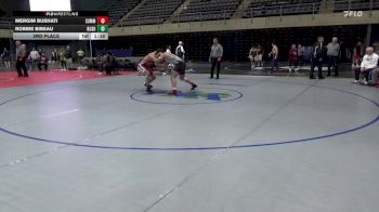 190 lbs 3rd Place - Mergim Bushati, Summit Hill vs Robbie Bibeau, Bushkill