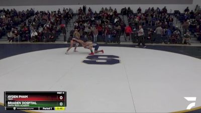 132 lbs Cons. Round 2 - Ayden Pham, Troy vs Braiden Dosptial, Santa Rosa Academy