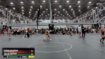 96 lbs Round 2 (8 Team) - Nolan DeShon, Ohio Gold vs Ethan Halstead, Backyard Brawler