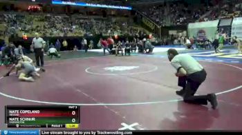 138 lbs Champ. Round 1 - Nate Copeland, Neosho vs Nate Schnur, Farmington