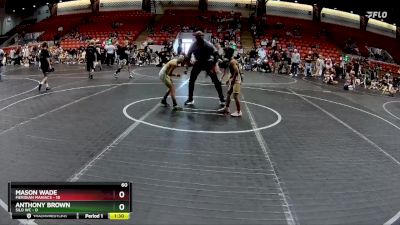 60 lbs Round 4 (8 Team) - Mason Wade, Meridian Maniacs vs Anthony Brown, Silo WC