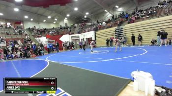 145 lbs Round 5 - Aries Day, Clinton Prarie vs Carlee Wilson, Lawrence Central Bears