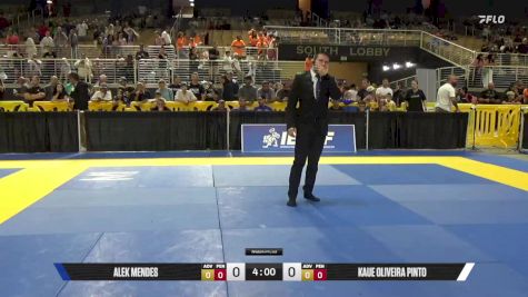 Alek Mendes vs Kaue Oliveira Pinto 2025 Pan Kids Jiu-Jitsu IBJJF Championship