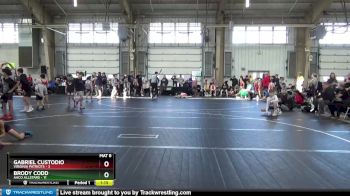 60 lbs Round 3 - Gabriel Custodio, Virginia Patriots vs Brody Codd, AACO Allstars