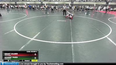 171 lbs Cons. Round 3 - Dominic Pardi, Minnesota vs Grant Salber, Wisconsin