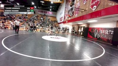 120 lbs Quarterfinal - Dominic Wagner, Rock Springs vs Caleb Lawrence, Star Valley