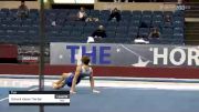 Schuck Above The Bar - Floor