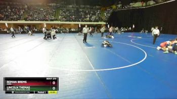 56 lbs Cons. Round 3 - Roman Brems, Iowa vs Lincoln Themas, Big Game Wrestling Club