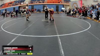 190 lbs Cons. Round 1 - Conner Todd, St. Mary`s Ryken vs Cameron Gibson, Bishop McNamara