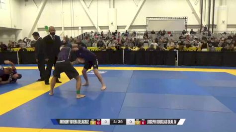 Joseph Douglas Deal IV vs Anthony Rivera DeLaCruz 2024 World IBJJF Jiu-Jitsu No-Gi Championship