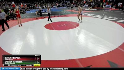 Champ. Round 1 - Carson Whitesel, Neligh-Oakdale vs Gatlin Krepela, Pleasanton