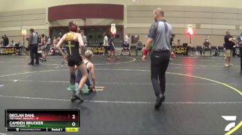 91 lbs Quarterfinals (8 Team) - Declan Dahl, The Funky Singlets vs Camden Brucker, Team Illinois