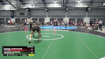 133 lbs Semifinal - Michael Schiffhauer, Bellarmine vs Brendan Hamilton, Lake Erie College