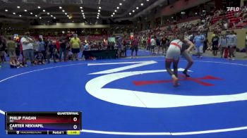 165 lbs Quarterfinal - Philip Fiagan, MO vs Carter Nekvapil, TX