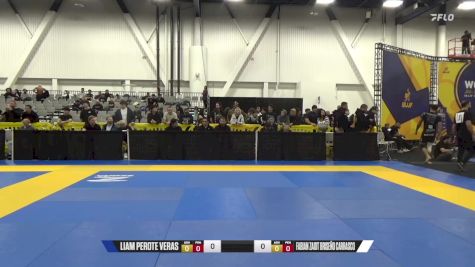 Fabian Zaidt Briseño Carrasco vs Liam Perote Veras 2024 World IBJJF Jiu-Jitsu No-Gi Championship