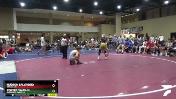 138 lbs Round 3 (6 Team) - Hudson Salvaggio, TNAAU vs Porter Vaughn, Mississippi Kings