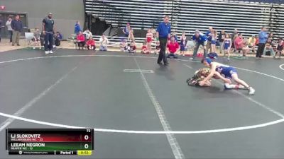 72 lbs Round 1 (4 Team) - LJ Slokovitz, Williamsburg WC vs Leeam Negron, Reaper WC