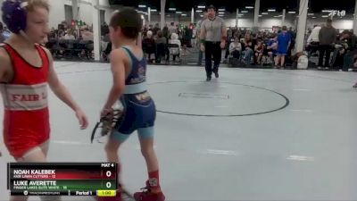 60 lbs Round 9 (10 Team) - Noah Kalebek, Fair Lawn Cutters vs Luke Averette, Finger Lakes Elite White