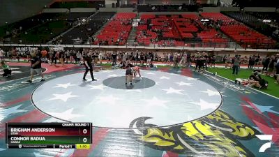 85 lbs Quarterfinal - Connor Badua, Hawaii vs Brigham Anderson, Utah