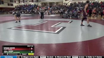 195 lbs Semifinal - Ethan Wood, Mount Vernon vs Will Ward, West Delaware, Manchester